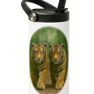 20 oz, Stainless Steel Double Wall Insulated Sublimation Water Bottles
