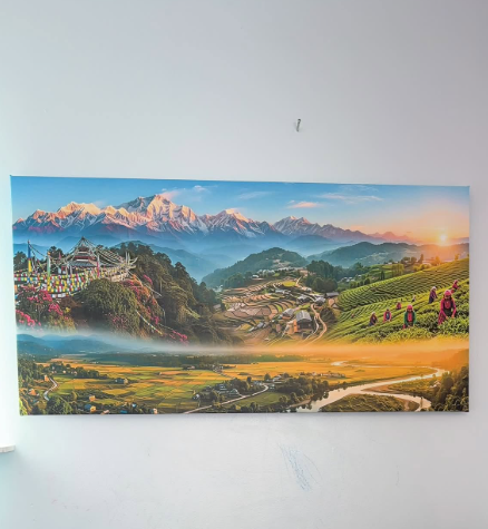 Canvas